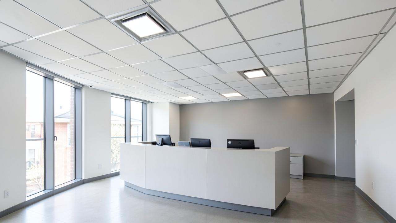 2×2 Grid Ceiling by Ideal Decore
